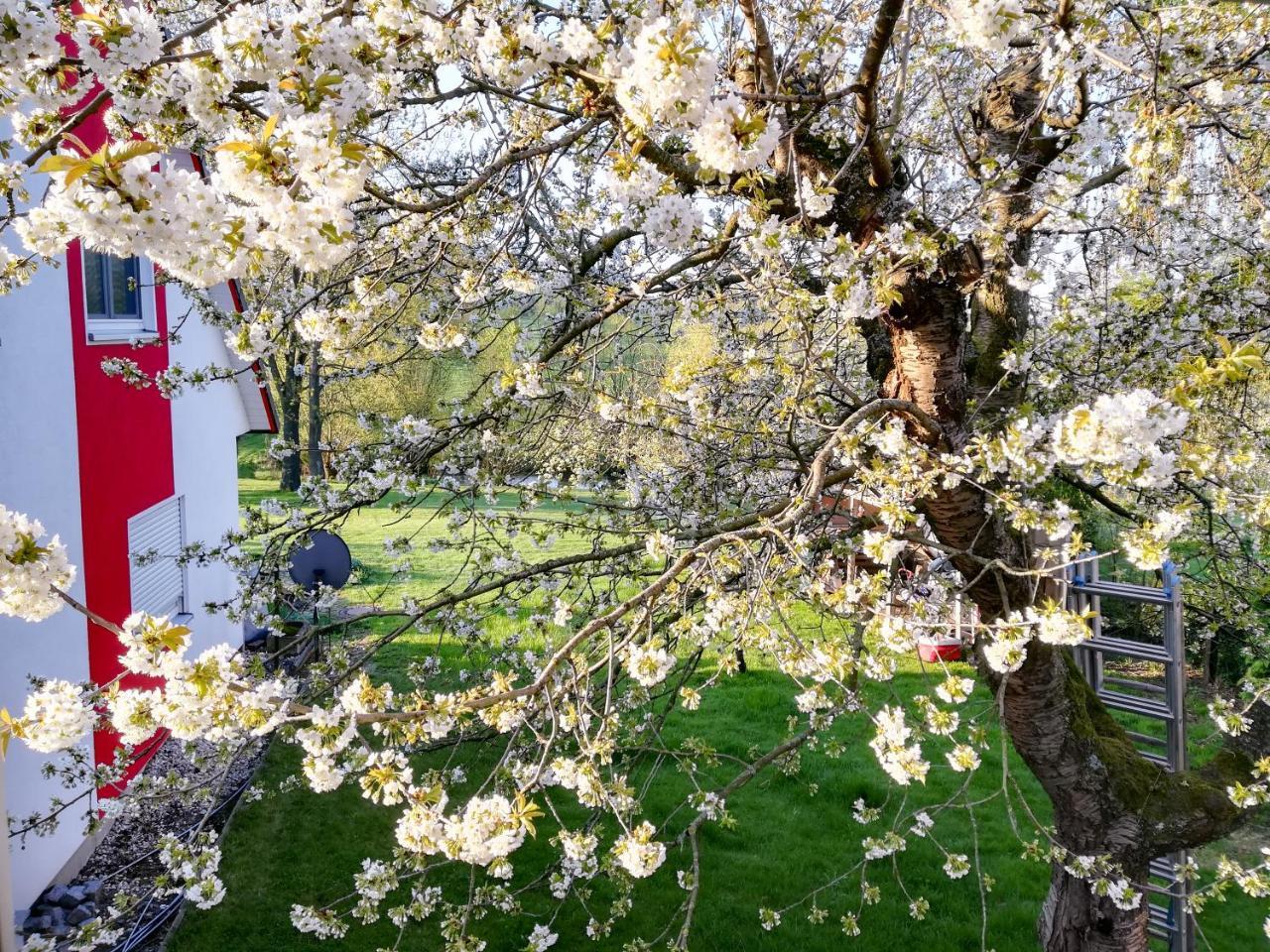 Ferienhaus Goermer Mit Wasserbett Schmölln Kültér fotó